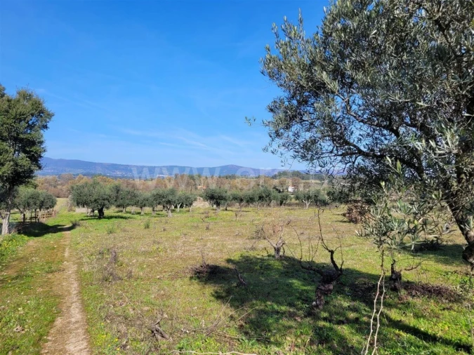 Quinta T0 para Venda em Póvoa de Atalaia e Atalaia do Campo Foto 6