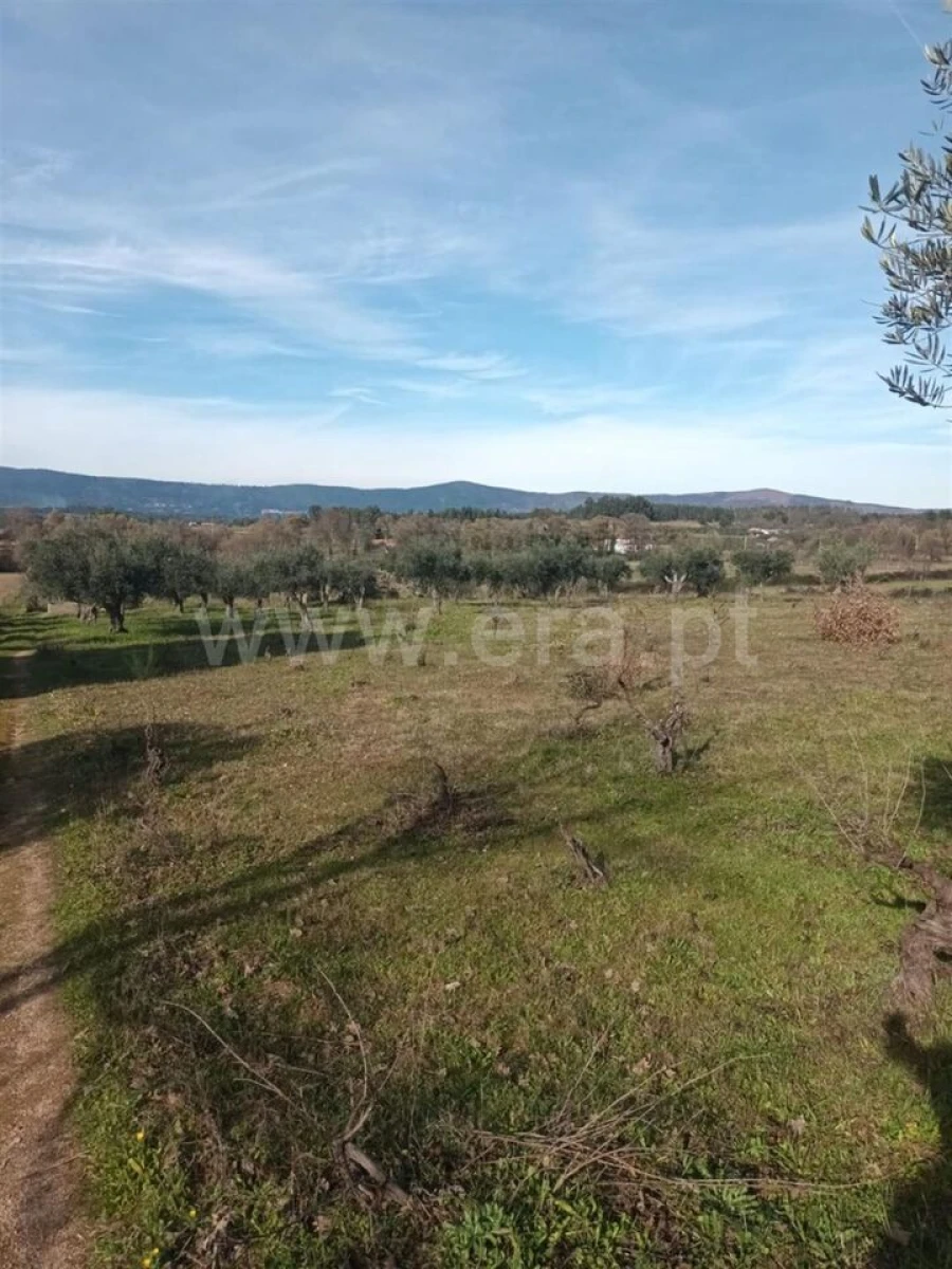 Quinta T0 para Venda em Póvoa de Atalaia e Atalaia do Campo Foto 13