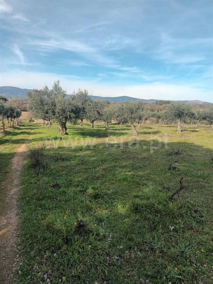 Quinta T0 para Venda em Póvoa de Atalaia e Atalaia do Campo Foto 15