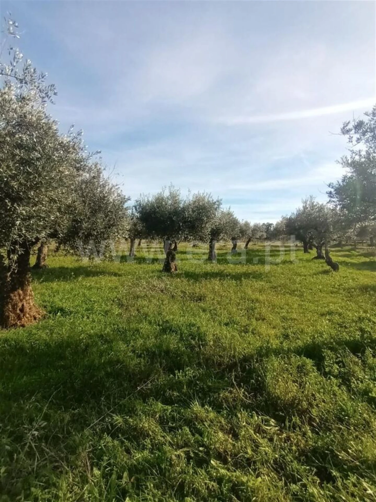Quinta T0 para Venda em Póvoa de Atalaia e Atalaia do Campo Foto 10