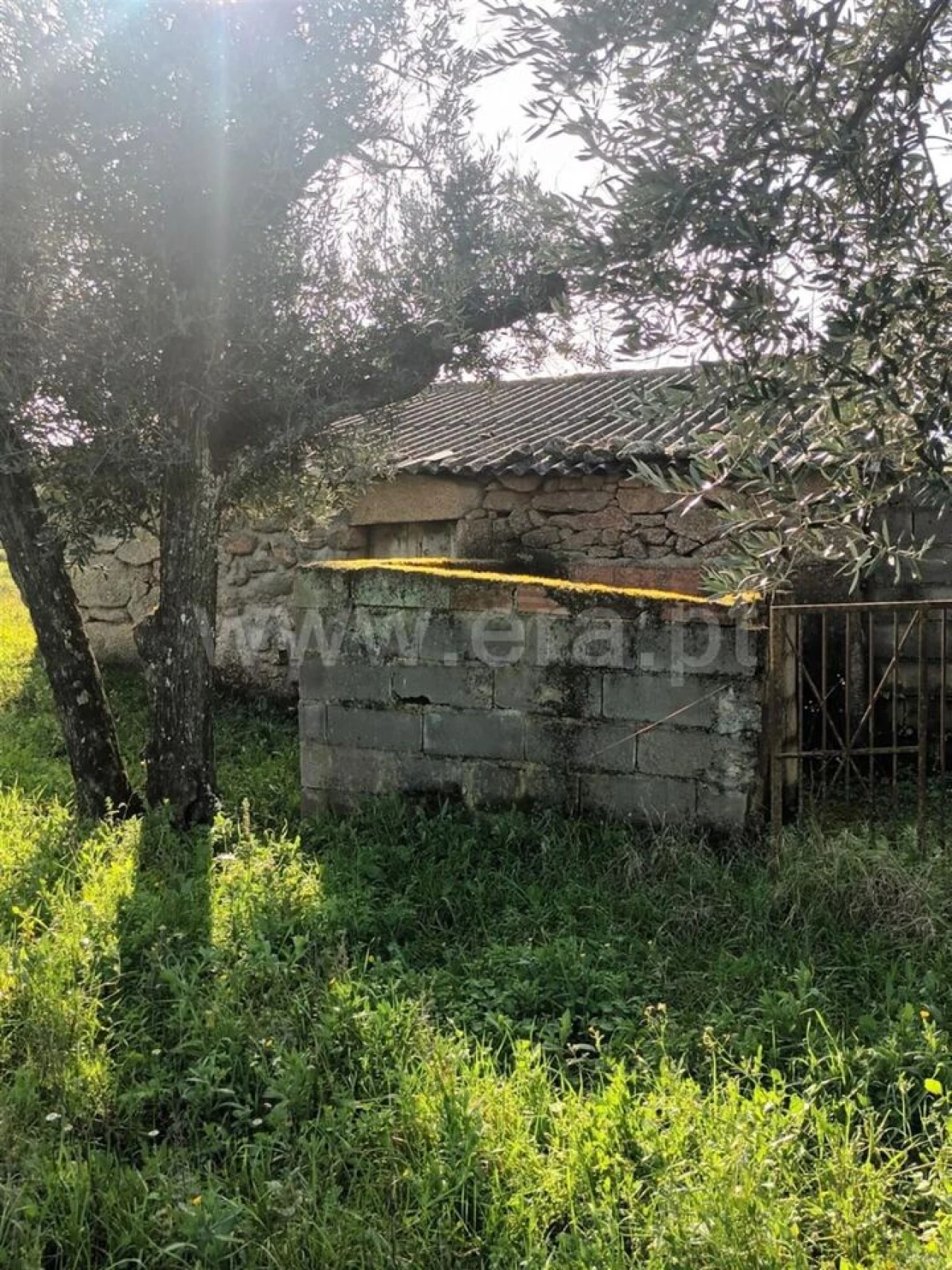Quinta T0 para Venda em Póvoa de Atalaia e Atalaia do Campo Foto 8