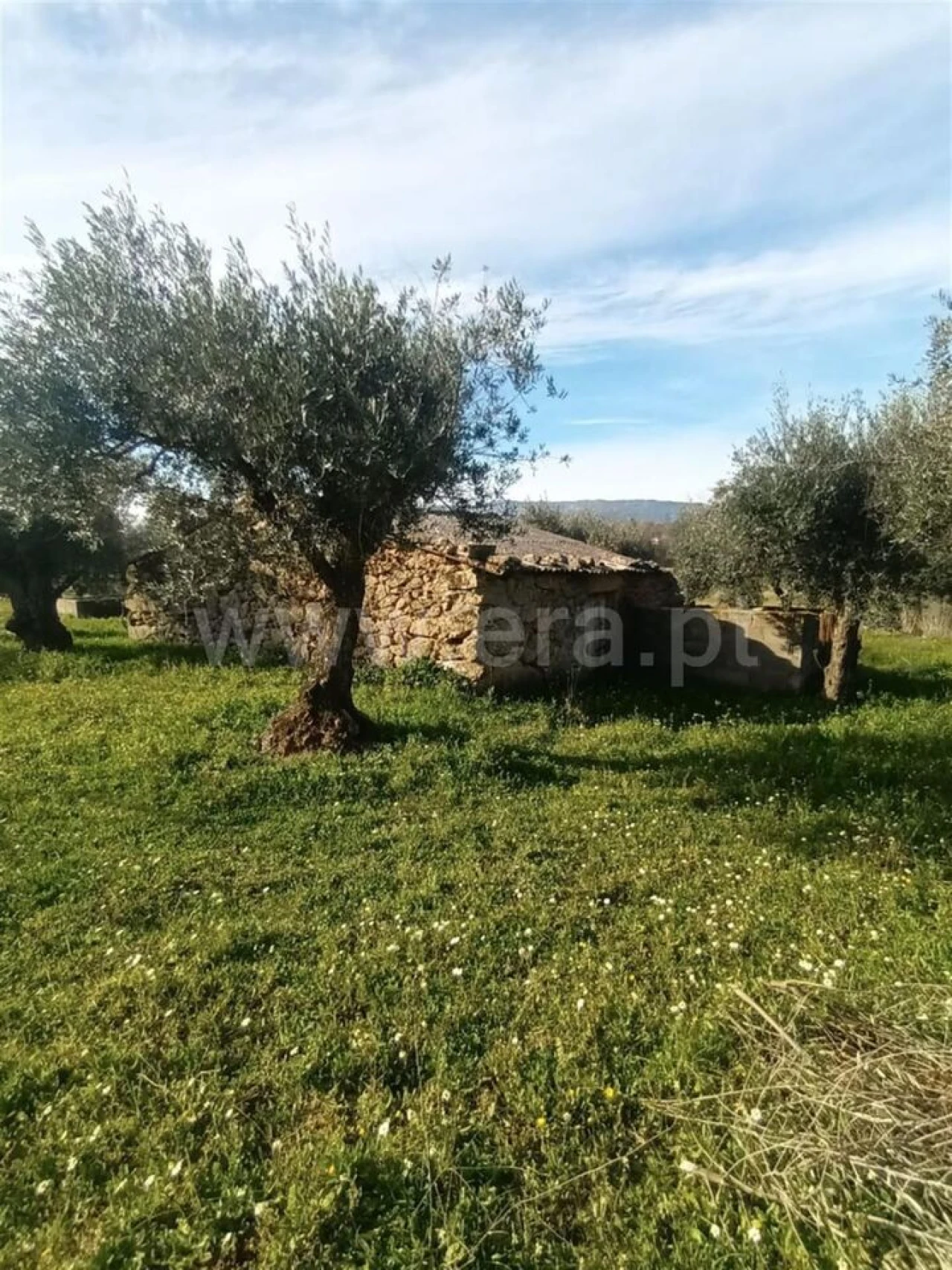 Quinta T0 para Venda em Póvoa de Atalaia e Atalaia do Campo Foto 3