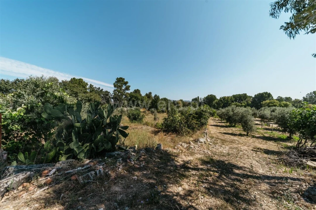 Quinta T0 para Venda em Fundão, Valverde, Donas, A. Joanes, A. Nova Cabo Foto 6