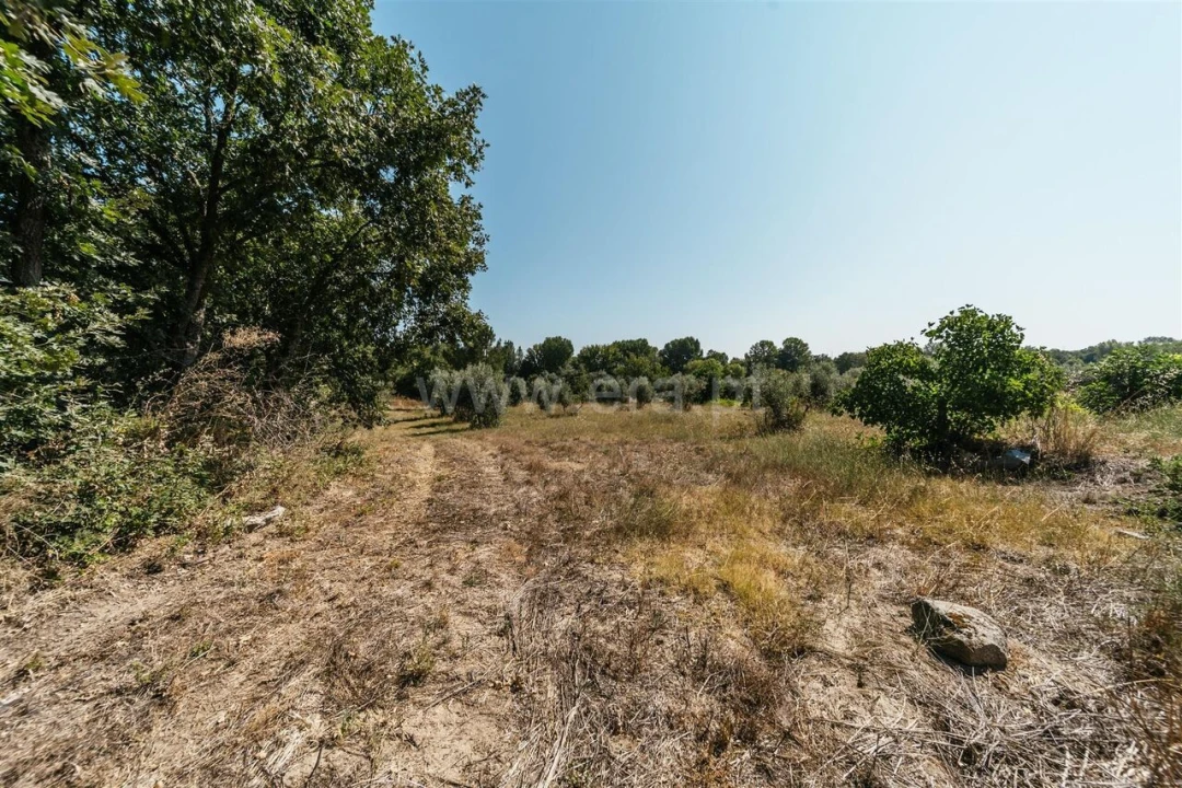 Quinta T0 para Venda em Fundão, Valverde, Donas, A. Joanes, A. Nova Cabo Foto 4