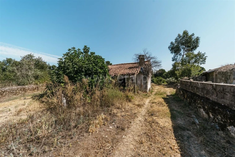 Quinta T0 para Venda em Fundão, Valverde, Donas, A. Joanes, A. Nova Cabo Foto 7
