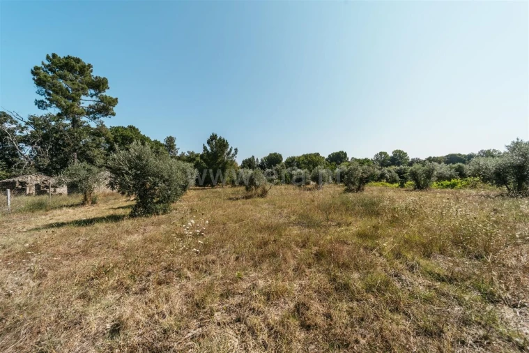 Quinta T0 para Venda em Fundão, Valverde, Donas, A. Joanes, A. Nova Cabo Foto 5