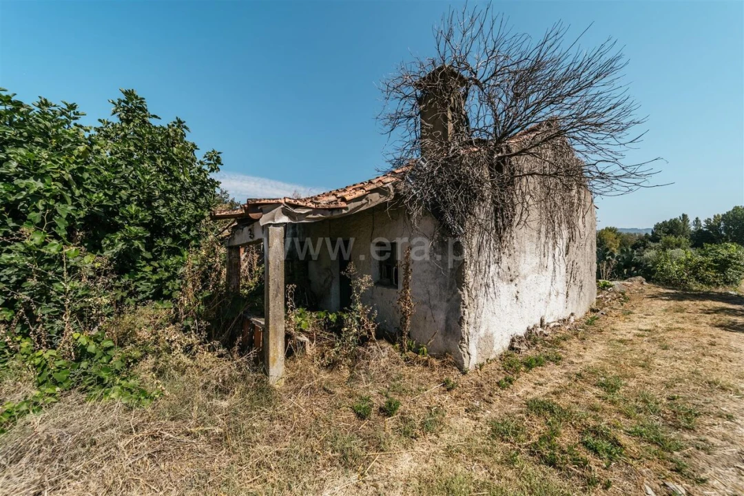 Quinta T0 para Venda em Fundão, Valverde, Donas, A. Joanes, A. Nova Cabo Foto 3