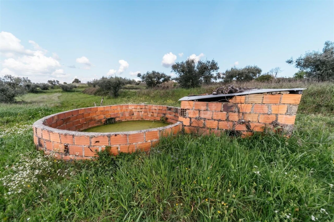 Terreno para Venda em Fundão, Valverde, Donas, A. Joanes, A. Nova Cabo Foto 10