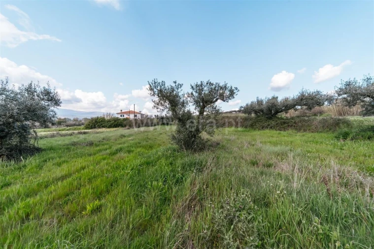 Terreno para Venda em Fundão, Valverde, Donas, A. Joanes, A. Nova Cabo Foto 3