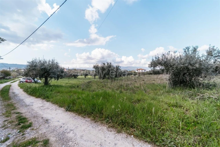 Terreno para Venda em Fundão, Valverde, Donas, A. Joanes, A. Nova Cabo Foto 11