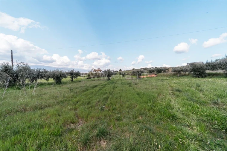 Terreno para Venda em Fundão, Valverde, Donas, A. Joanes, A. Nova Cabo Foto 5