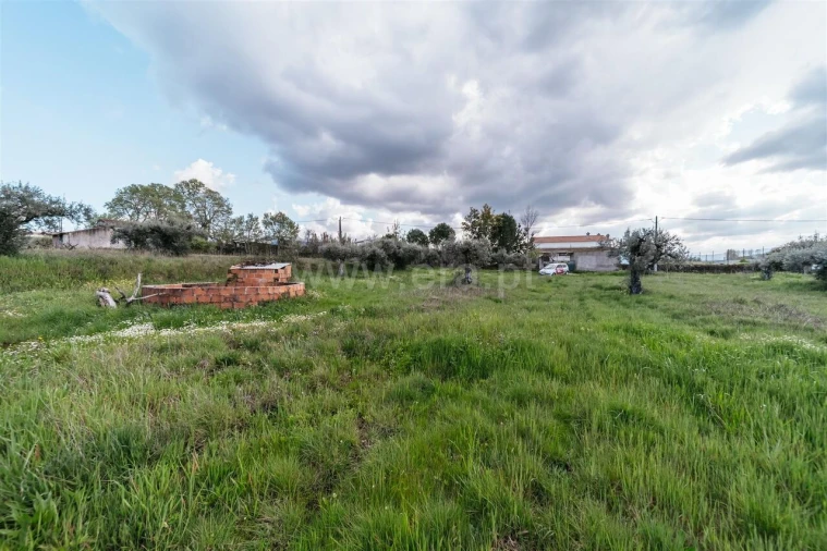 Terreno para Venda em Fundão, Valverde, Donas, A. Joanes, A. Nova Cabo Foto 4