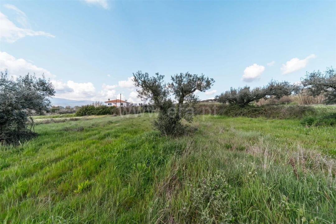 Terreno para Venda em Fundão, Valverde, Donas, A. Joanes, A. Nova Cabo Foto 3