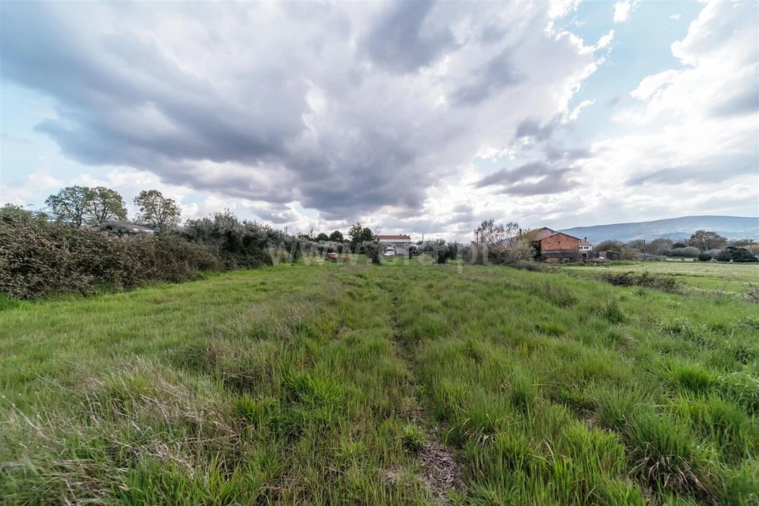 Terreno para Venda em Fundão, Valverde, Donas, A. Joanes, A. Nova Cabo Foto 2