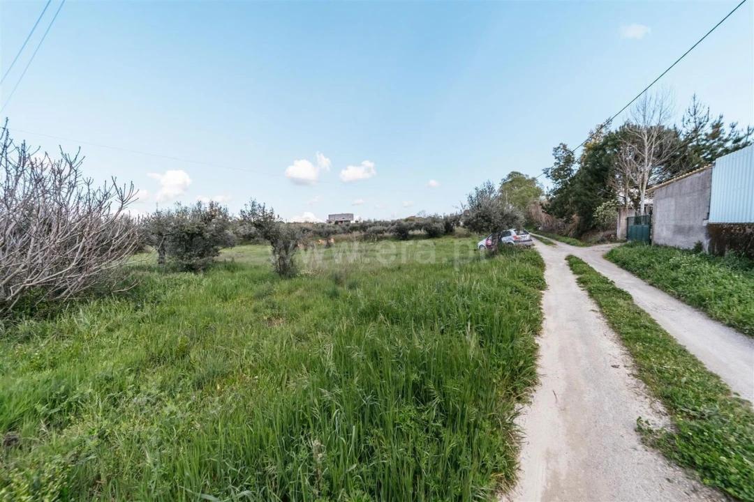 Terreno para Venda em Fundão, Valverde, Donas, A. Joanes, A. Nova Cabo Foto 6