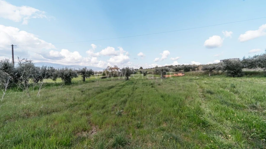 Terreno para Venda em Fundão, Valverde, Donas, A. Joanes, A. Nova Cabo