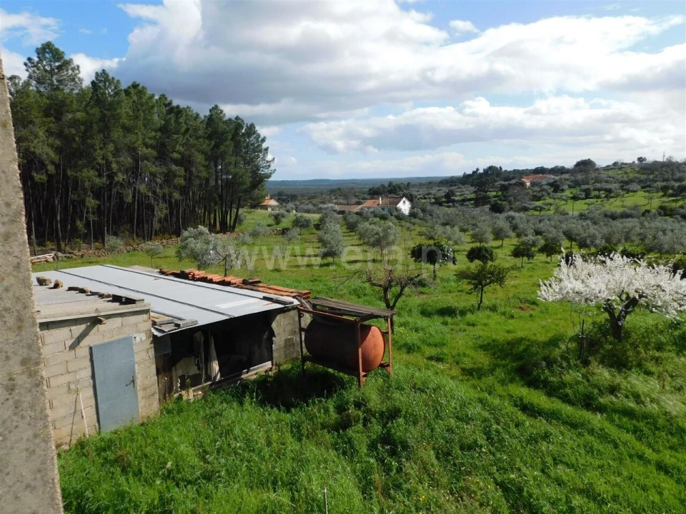 Quinta T0 para Venda em Vale de Prazeres e Mata da Rainha Foto 3