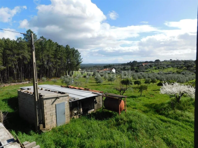 Quinta T0 para Venda em Vale de Prazeres e Mata da Rainha Foto 5