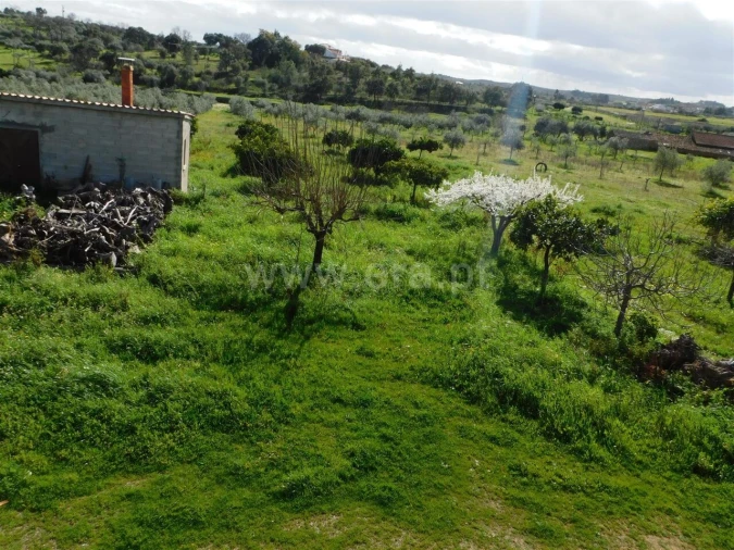Quinta T0 para Venda em Vale de Prazeres e Mata da Rainha Foto 2