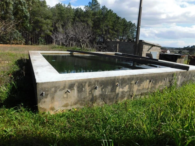 Quinta T0 para Venda em Vale de Prazeres e Mata da Rainha Foto 4