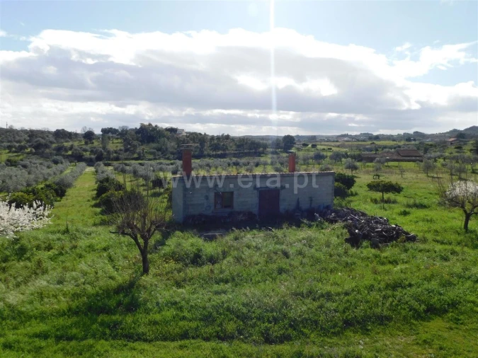 Quinta T0 para Venda em Vale de Prazeres e Mata da Rainha Foto 1