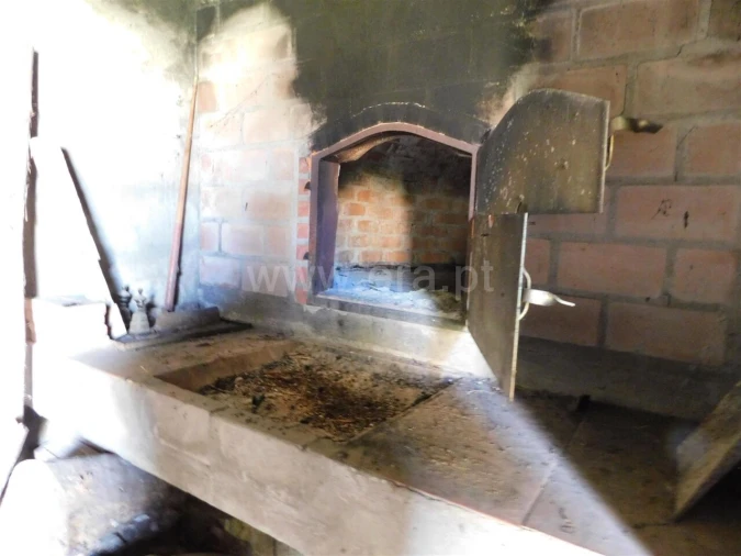 Quinta T0 para Venda em Vale de Prazeres e Mata da Rainha Foto 8