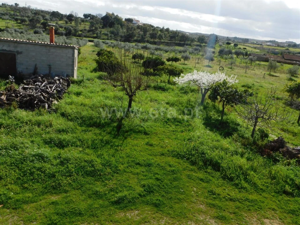 Quinta T0 para Venda em Vale de Prazeres e Mata da Rainha Foto 2