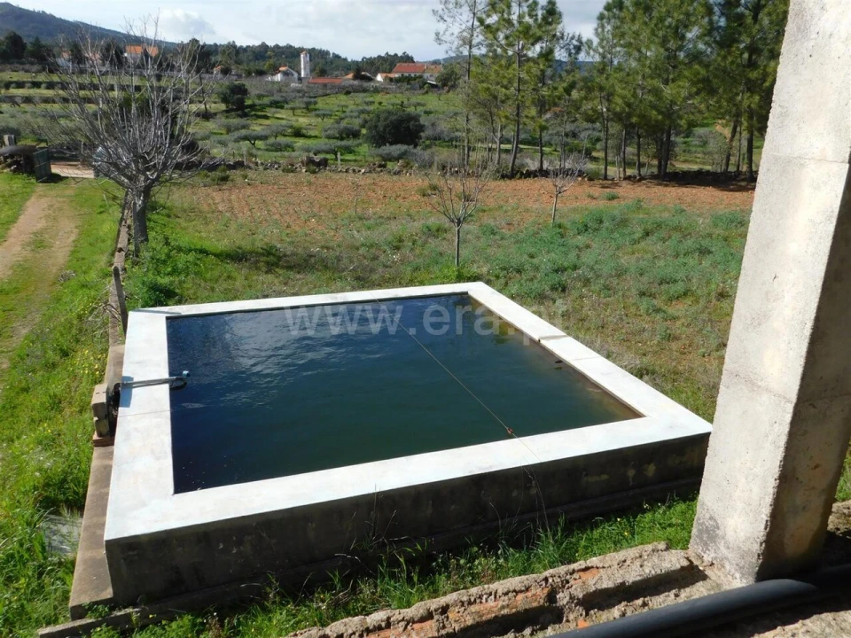 Quinta T0 para Venda em Vale de Prazeres e Mata da Rainha Foto 6