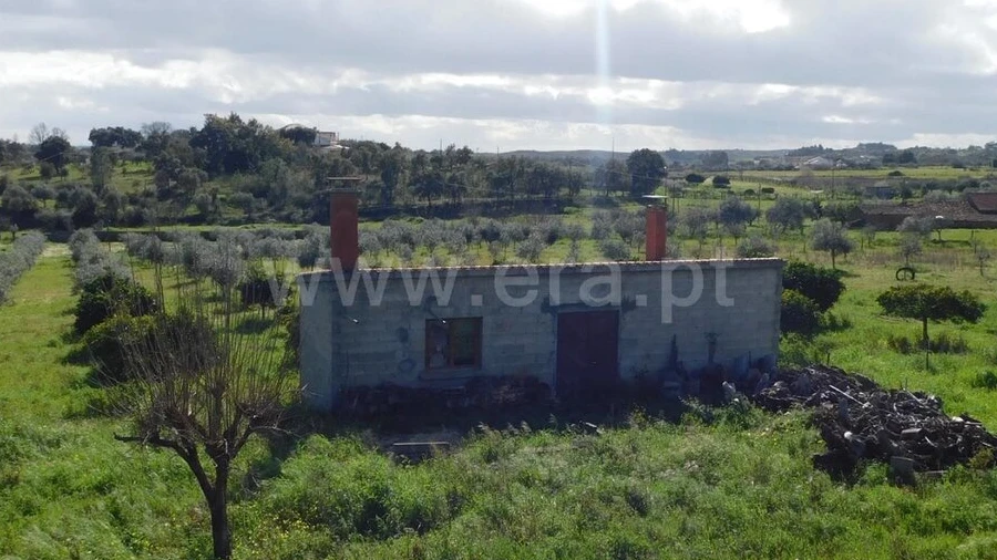 Quinta T0 para Venda em Vale de Prazeres e Mata da Rainha