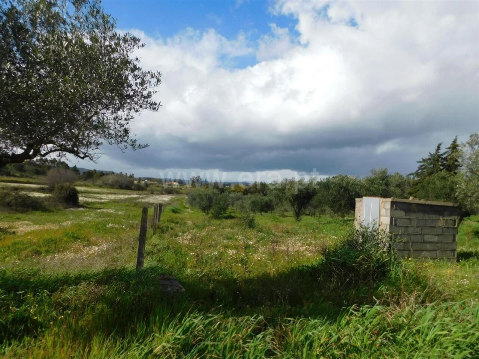 Quinta T0 para Venda em Vale de Prazeres e Mata da Rainha Foto 3
