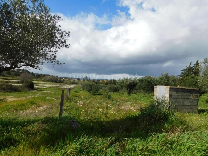 Quinta T0 para Venda em Vale de Prazeres e Mata da Rainha Foto 3
