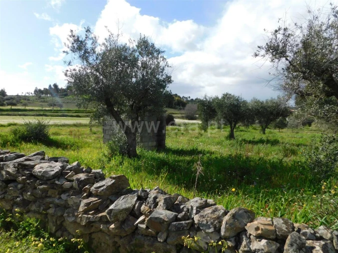 Quinta T0 para Venda em Vale de Prazeres e Mata da Rainha Foto 2