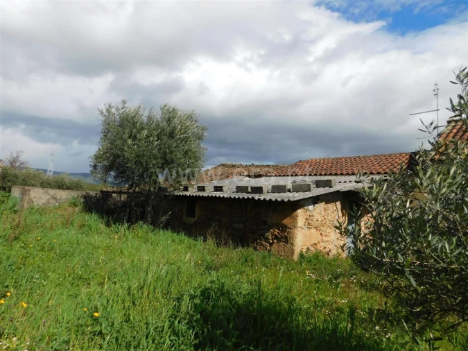 Quinta T0 para Venda em Vale de Prazeres e Mata da Rainha Foto 5