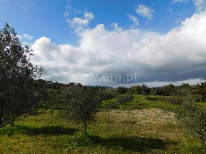 Quinta T0 para Venda em Vale de Prazeres e Mata da Rainha Foto 7