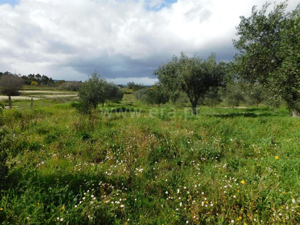 Quinta T0 para Venda em Vale de Prazeres e Mata da Rainha Foto 1