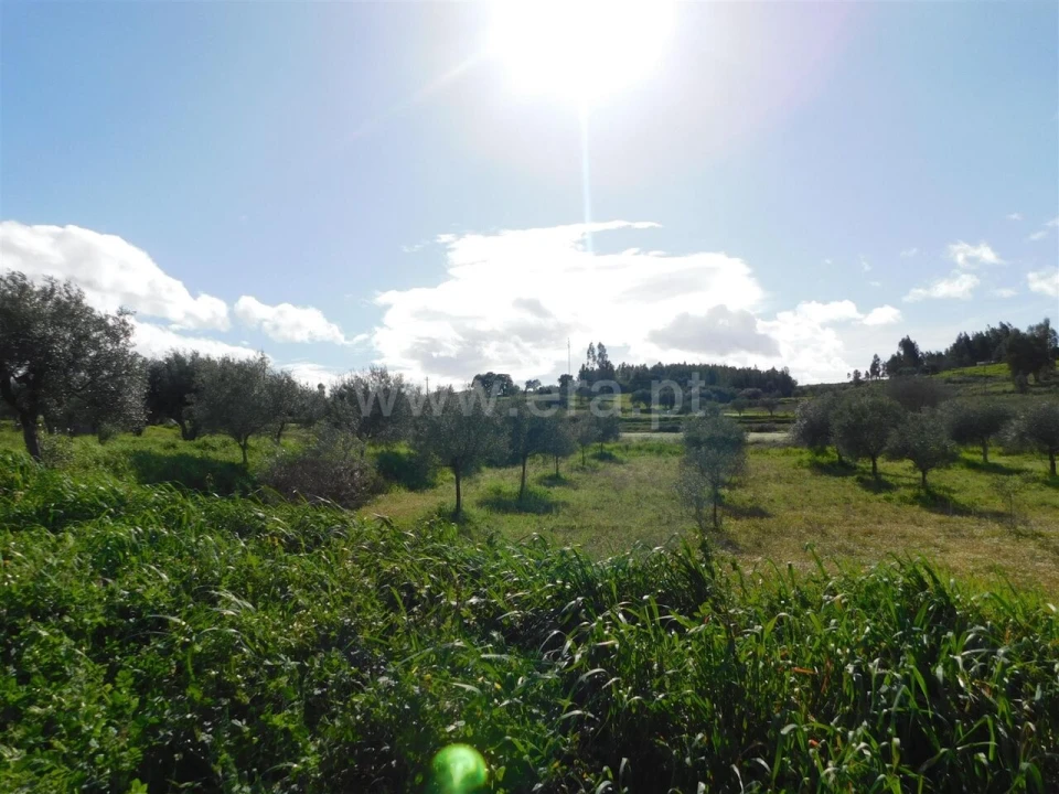 Quinta T0 para Venda em Vale de Prazeres e Mata da Rainha Foto 6