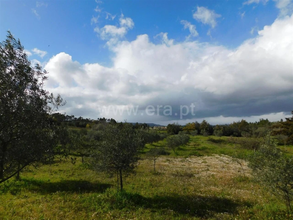 Quinta T0 para Venda em Vale de Prazeres e Mata da Rainha Foto 7