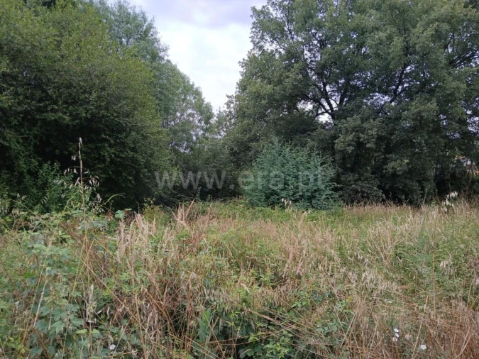 Terreno para Venda em Póvoa de Atalaia e Atalaia do Campo Foto 5