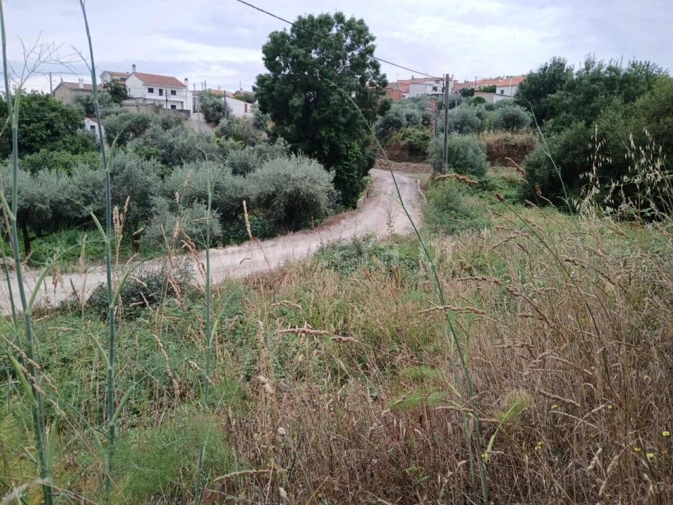 Terreno para Venda em Póvoa de Atalaia e Atalaia do Campo Foto 2