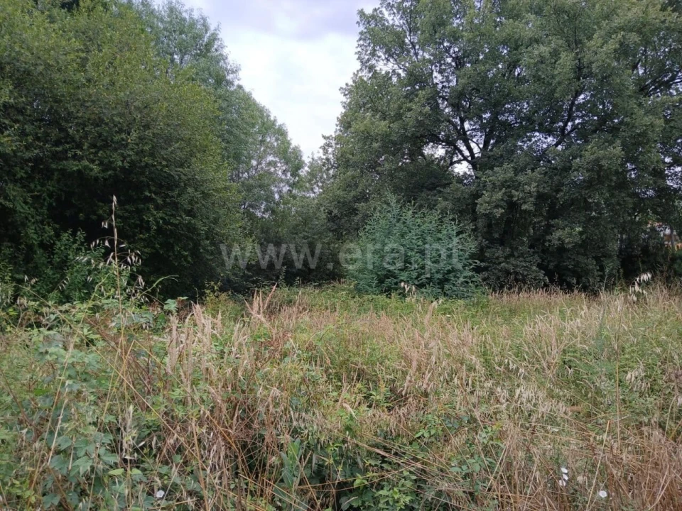 Terreno para Venda em Póvoa de Atalaia e Atalaia do Campo Foto 5