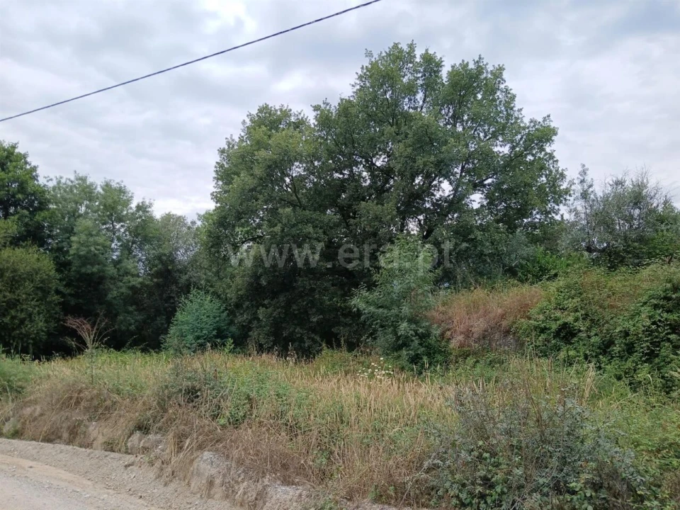 Terreno para Venda em Póvoa de Atalaia e Atalaia do Campo Foto 6