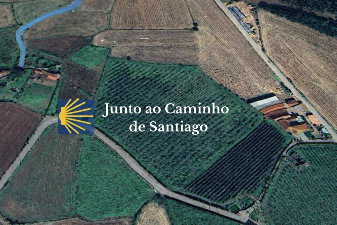 Terreno para Venda em Chorente, Góios, Courel, Pedra Furada e Gueral Foto 3