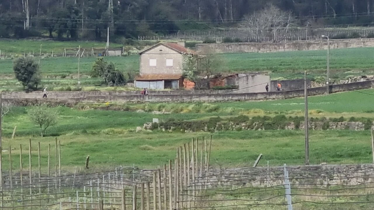 Terreno para Venda em Chorente, Góios, Courel, Pedra Furada e Gueral Foto 14