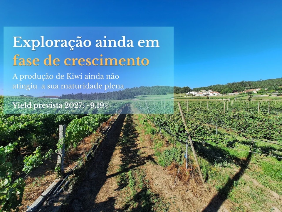 Terreno para Venda em Chorente, Góios, Courel, Pedra Furada e Gueral Foto 4
