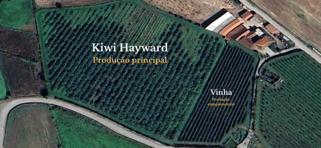 Terreno para Venda em Chorente, Góios, Courel, Pedra Furada e Gueral Foto 2