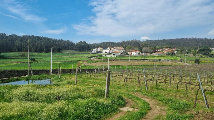 Terreno para Venda em Chorente, Góios, Courel, Pedra Furada e Gueral Foto 12
