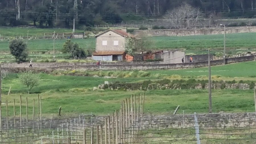 Terreno para Venda em Chorente, Góios, Courel, Pedra Furada e Gueral Foto 14