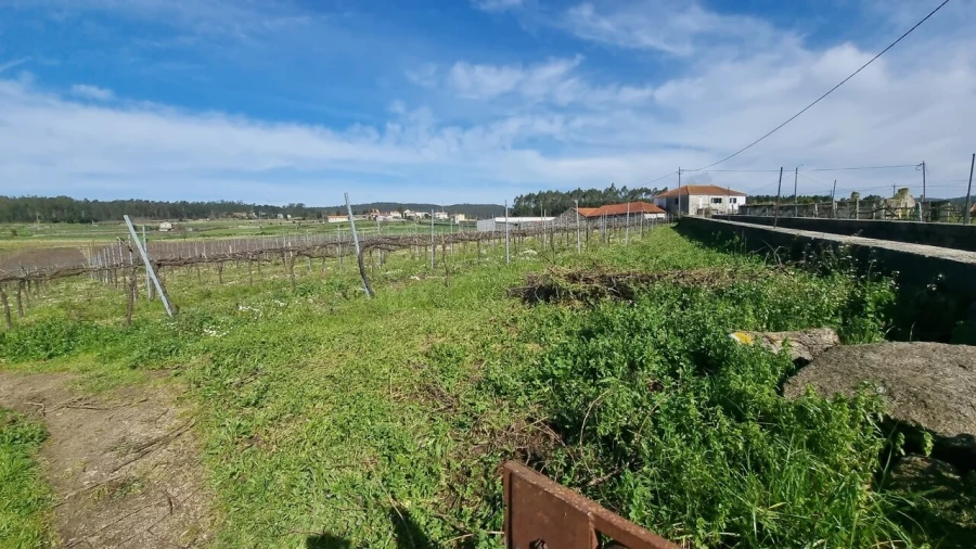 Terreno para Venda em Chorente, Góios, Courel, Pedra Furada e Gueral Foto 8
