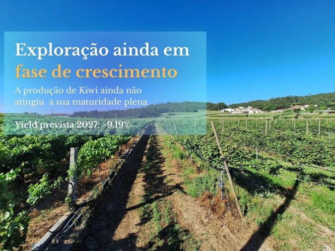 Terreno para Venda em Chorente, Góios, Courel, Pedra Furada e Gueral Foto 4