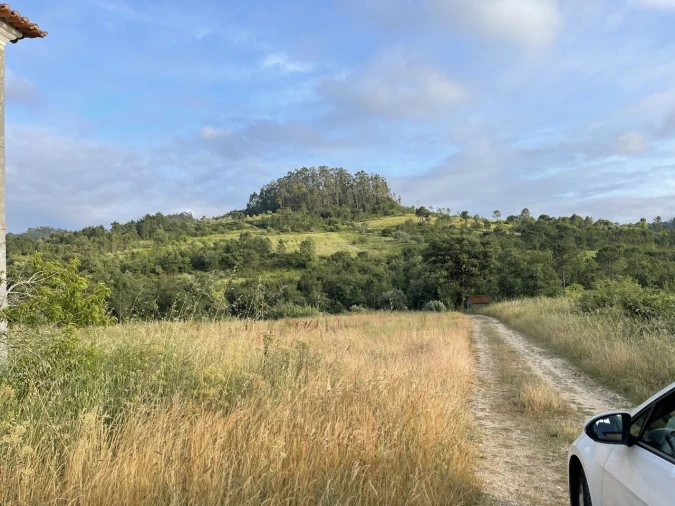 Moradia T4 para Venda em Colmeias e Memória Foto 10